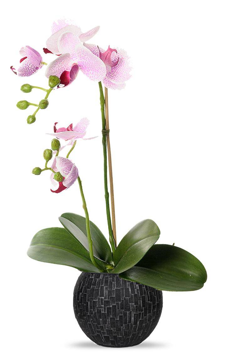 Artificielles - Orchidee artificielle 2 hampes en pot H 40 cm touché réel Rose-crème - couleur: Rose-crème - Imagen 2