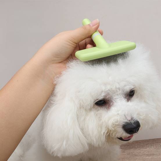 Brosse à poils pour chien - MCBOSON - Image 4