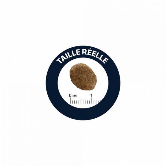 CROQUETTES CHAT VETERINARY DIET URINARY - ADVANCE 1,5kg - Image 2
