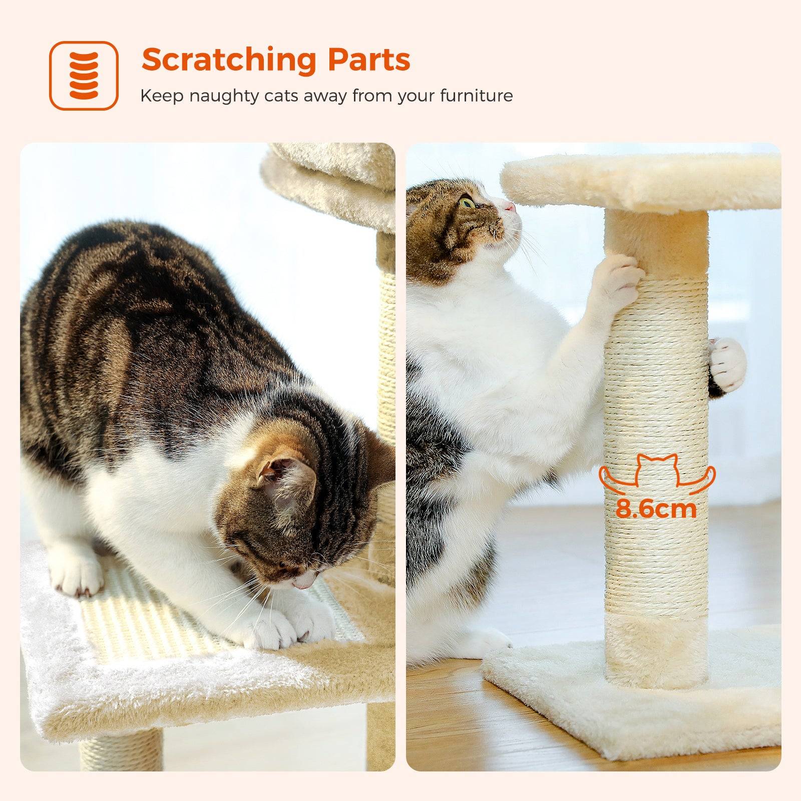 Petit Arbre à Chat 72 cm avec Hamac Beige PAWZ Road - Image 10