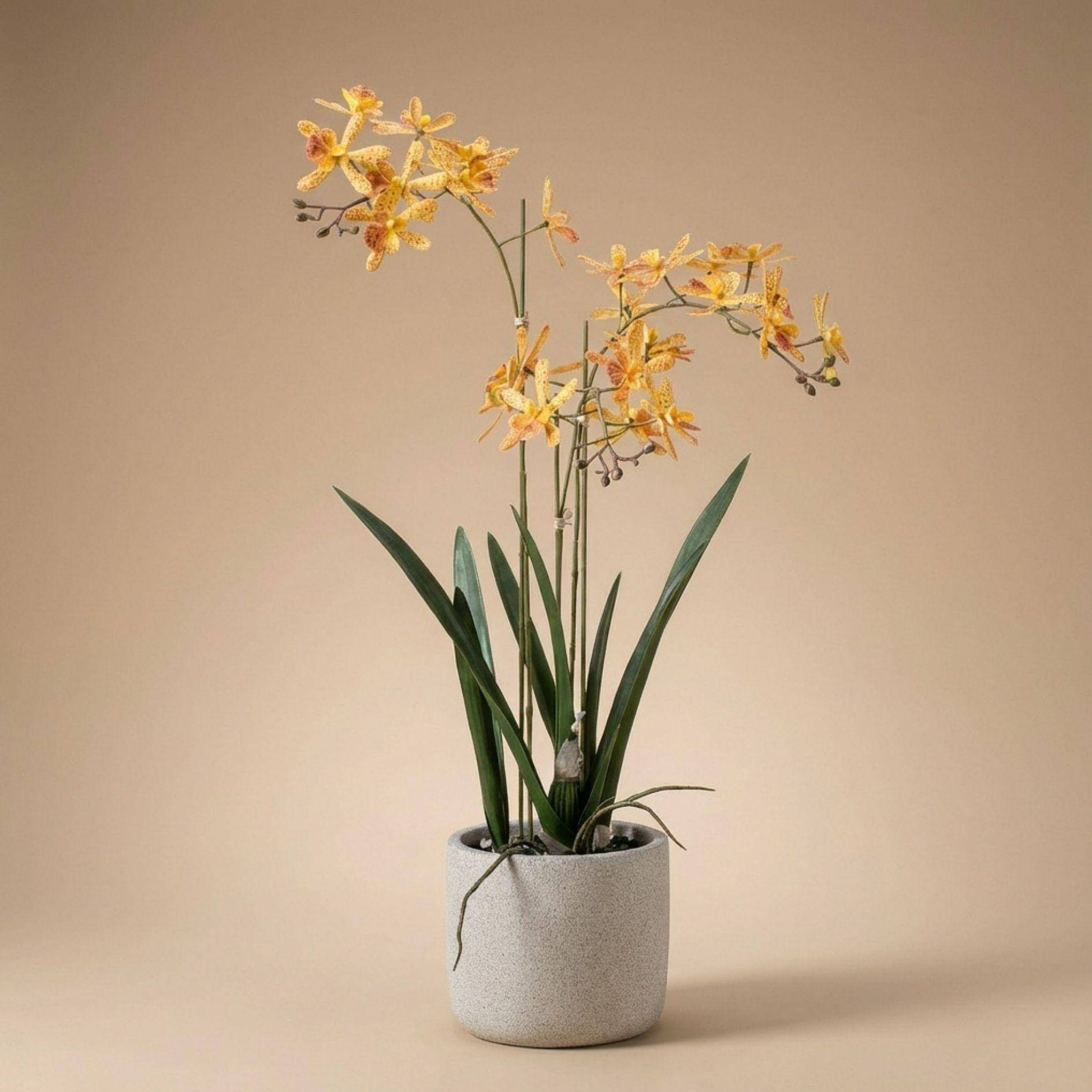 Renanthera orchidée jaune en orange - Ø10cm - Plante artificielle - Image 1