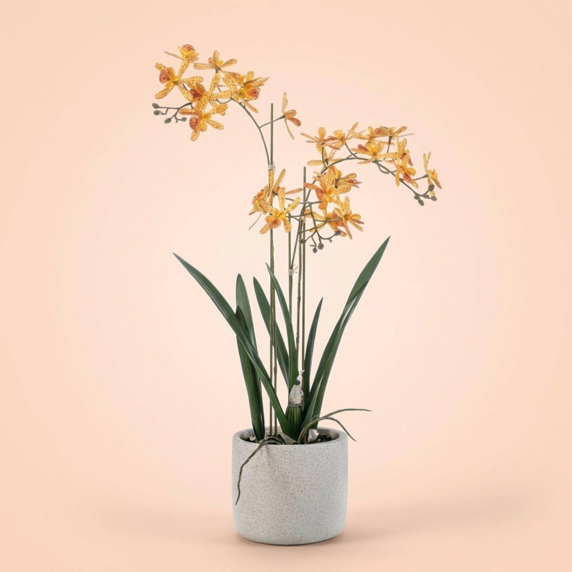 Renanthera orchidée jaune en orange - Ø10cm - Plante artificielle - Image 6