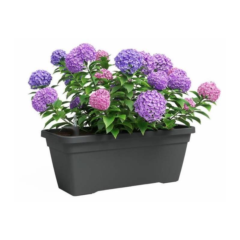 Artevasi - Jardiniere - Plastique - Anthracite - Rectangulaire - L57,9 X P24,3 X H22cm - Artevasi - Imagen 2