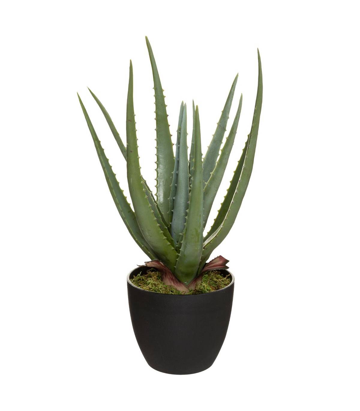 Plante artificielle Aloe Vera en pot H 42 cm - Imagen 1