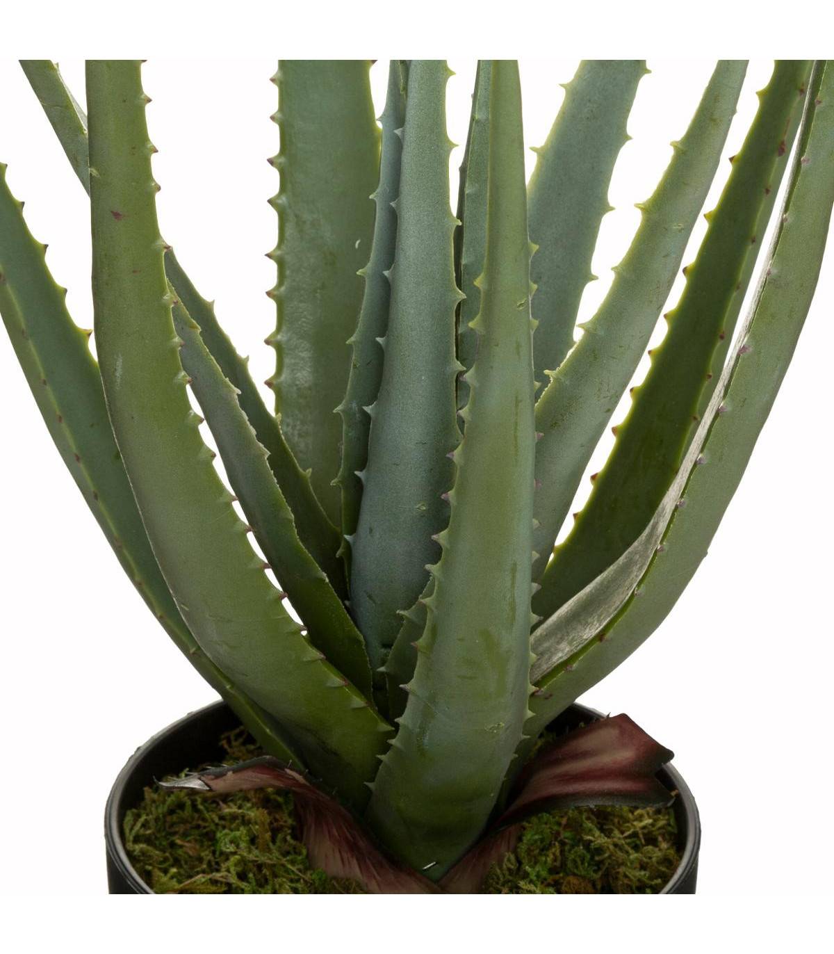 Plante artificielle Aloe Vera en pot H 42 cm - Imagen 2