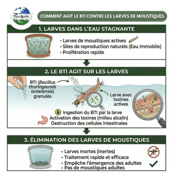 Terra Nostra - Larvicide anti-moustiques - Pot de 500 g - Imagen 4