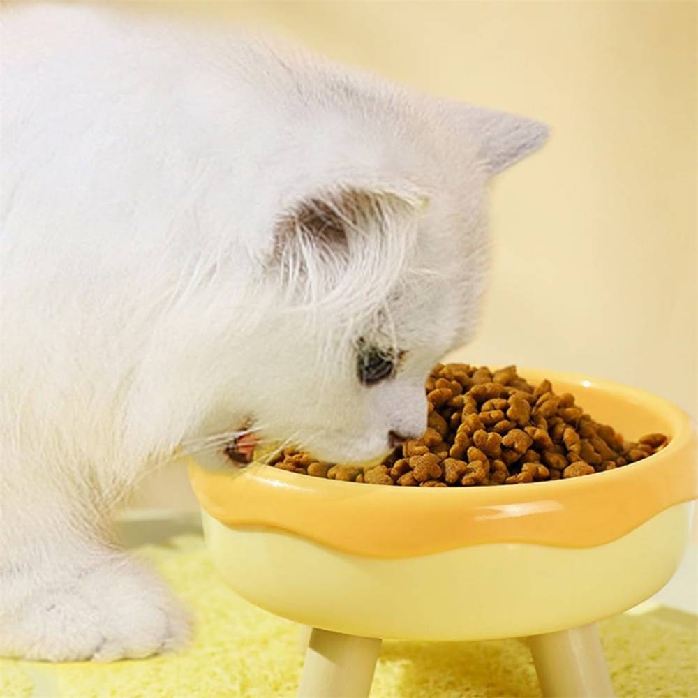 Bol d'eau et de nourriture pour chien et chat DtopbuyAge - Image 5