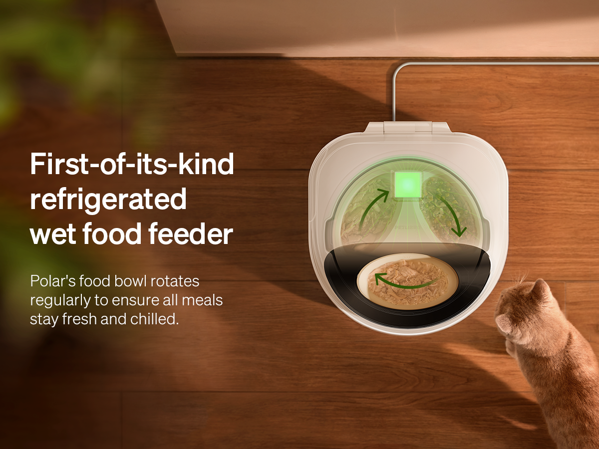 Distributeur automatique aliments humides Petlibro Polar - Blanc - Image 5