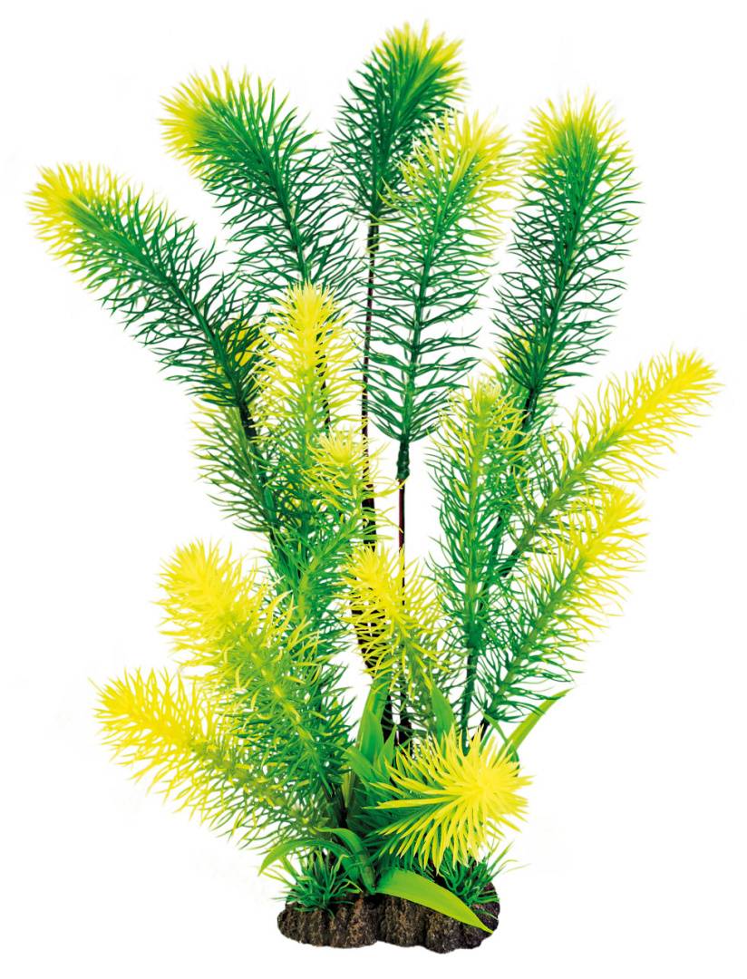 Superfish - Plante artificielle Myriophyllum plastique vert 40 cm - SUPERFISH