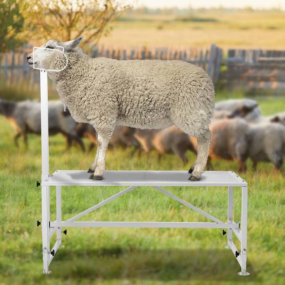VEVOR Support bétail chèvres/moutons, 47x23 po, hauteur réglable, blanc. - Image 8
