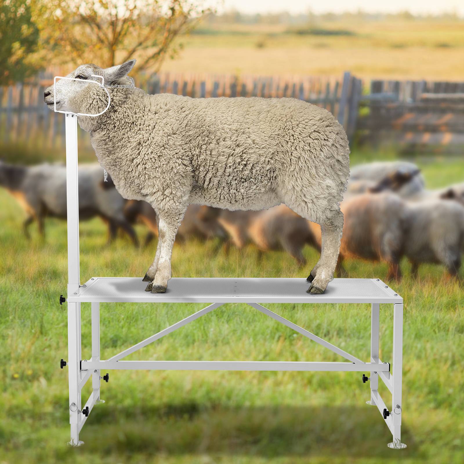 VEVOR Support bétail chèvres/moutons, 47x23 po, hauteur réglable, blanc. - Image 8