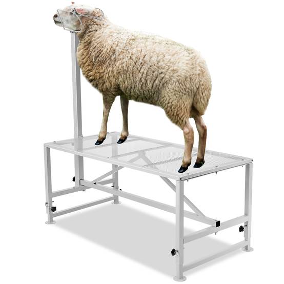 VEVOR Support bétail chèvres/moutons, 47x23 po, hauteur réglable, blanc. - Image 1