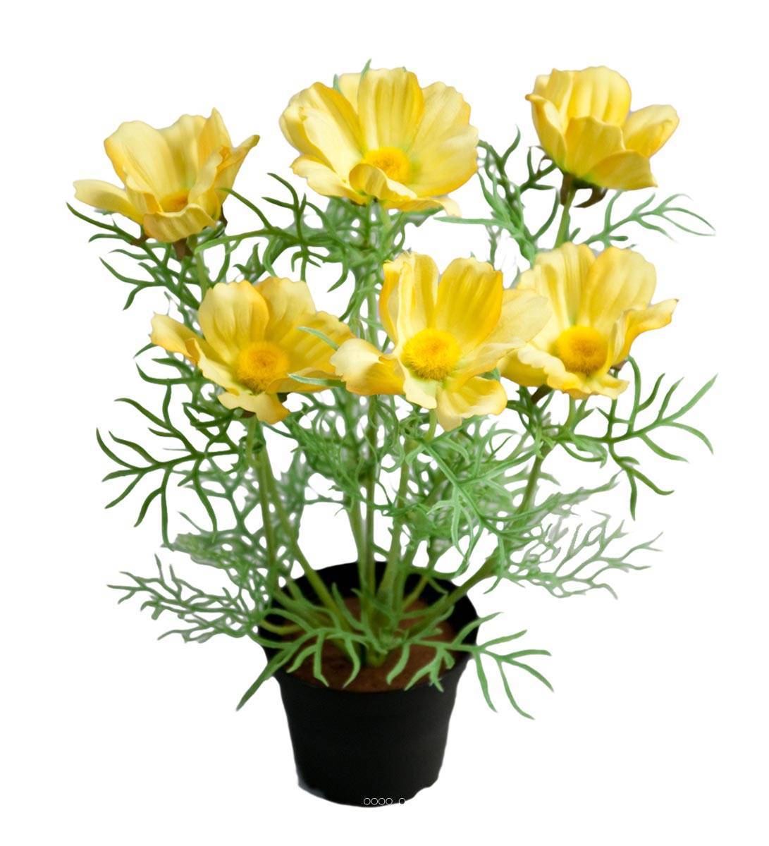 Artificielles - Cosmos fleuries artificielle en pot H 40 cm Jaune - couleur: Jaune - Imagen 2
