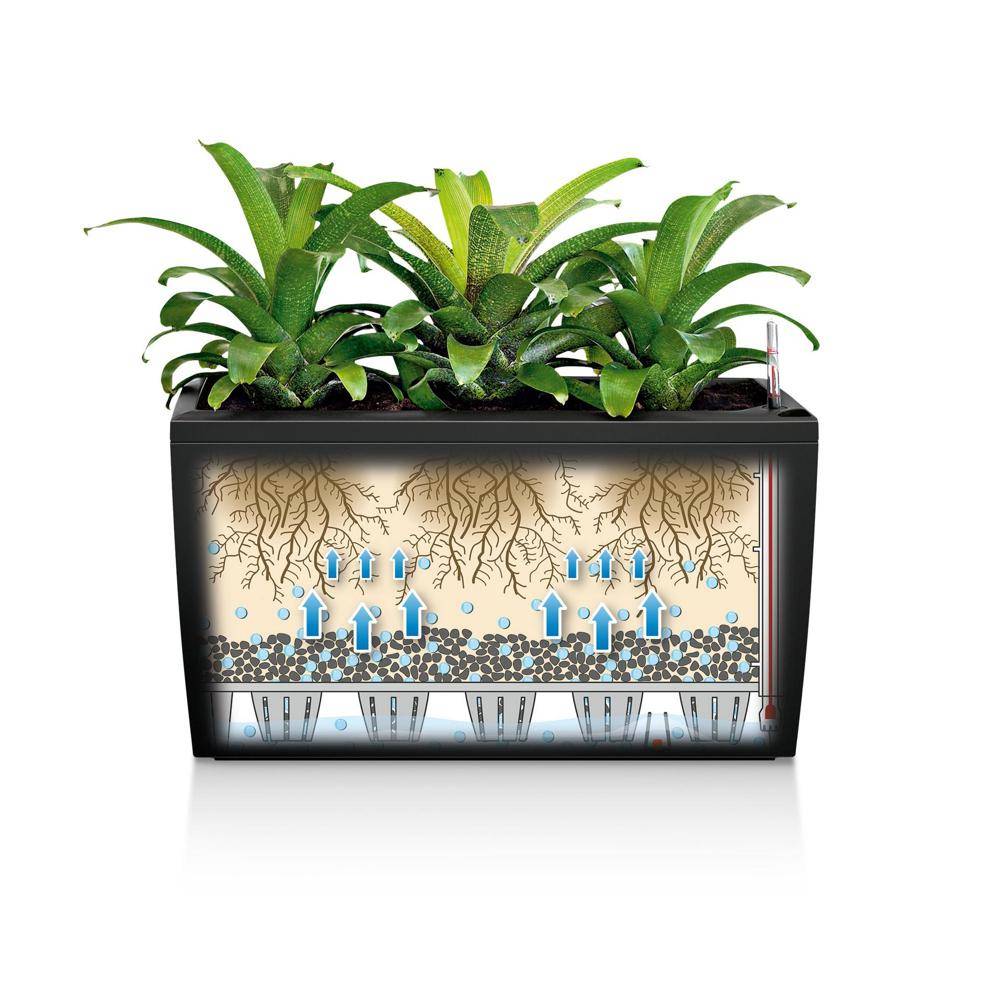 Lechuza - Pot De Fleur Lechuza Cararo Premium - Kit Complet, Blanc Brillant - Image 6
