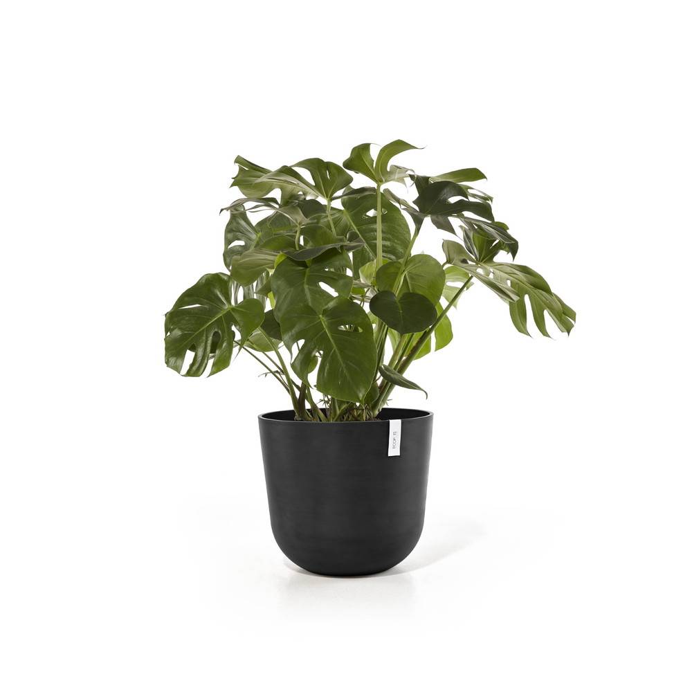 Ecopots - Pot Rond Oslo 55 Gris Foncé - Ø 55 x H. 47,9 cm - 85,6 L ECOPOTS - Imagen 3