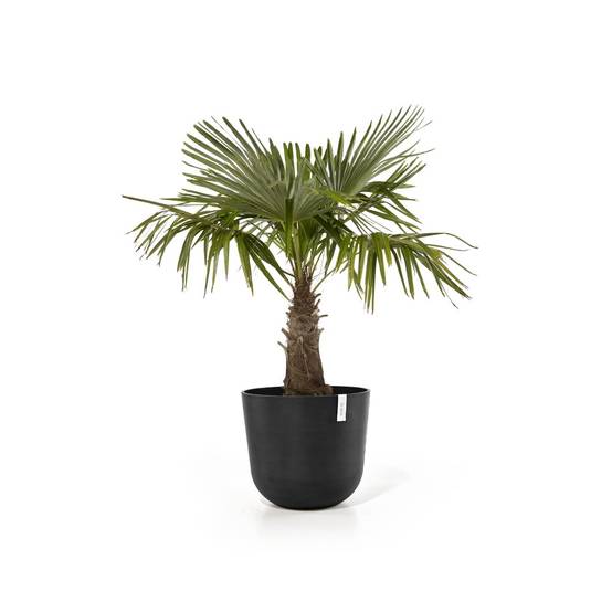 Ecopots - Pot Rond Oslo 55 Gris Foncé - Ø 55 x H. 47,9 cm - 85,6 L ECOPOTS - Imagen 2