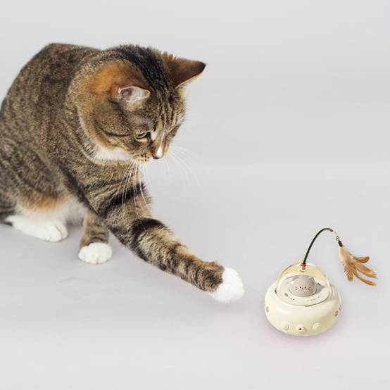 Jouet Automatique Rechargeable pour Chat DtopbuyAge - Image 3