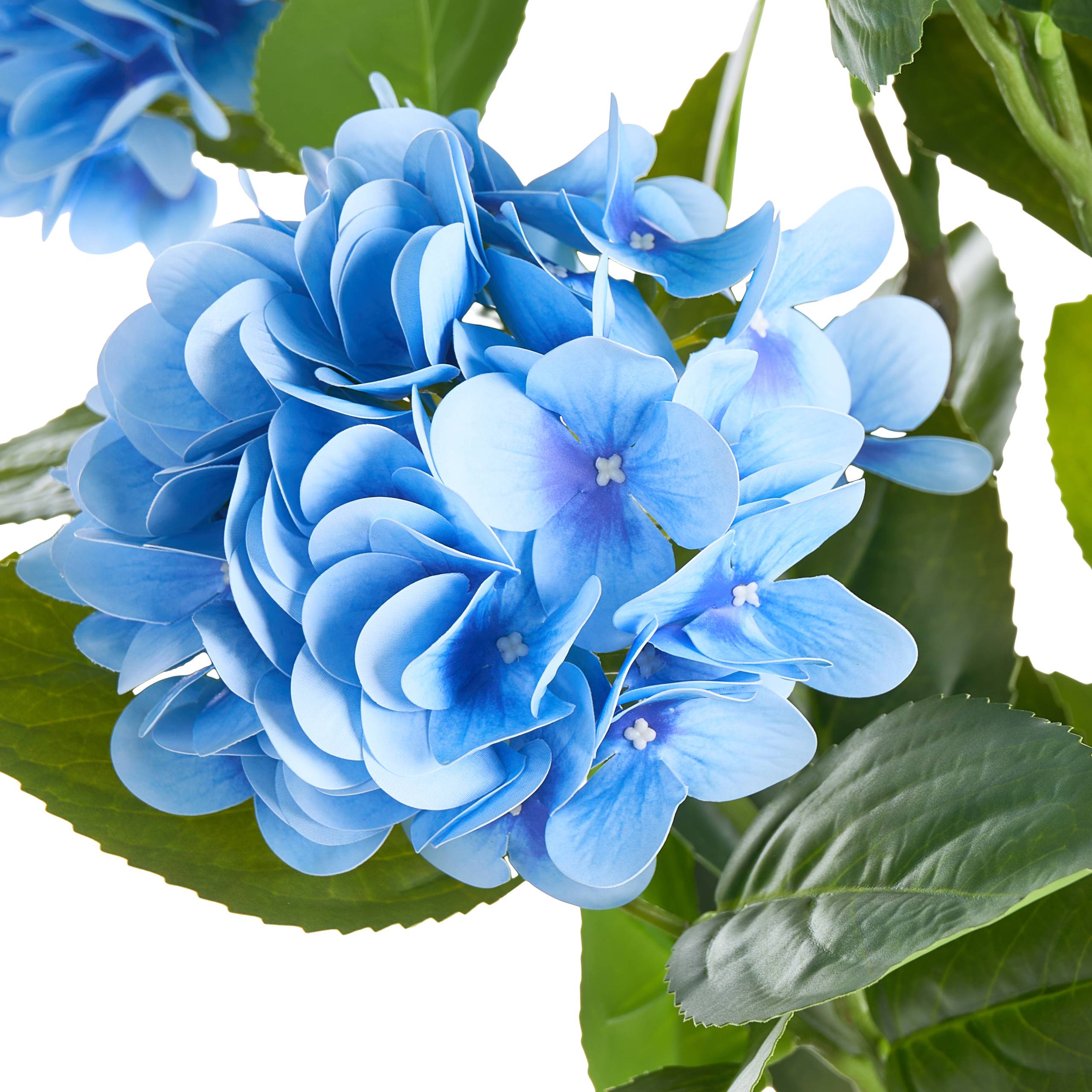 Beliani - Plante artificielle Matière synthétique Bleu HORTENSIUM - 50x50x90- Beliani - Image 3