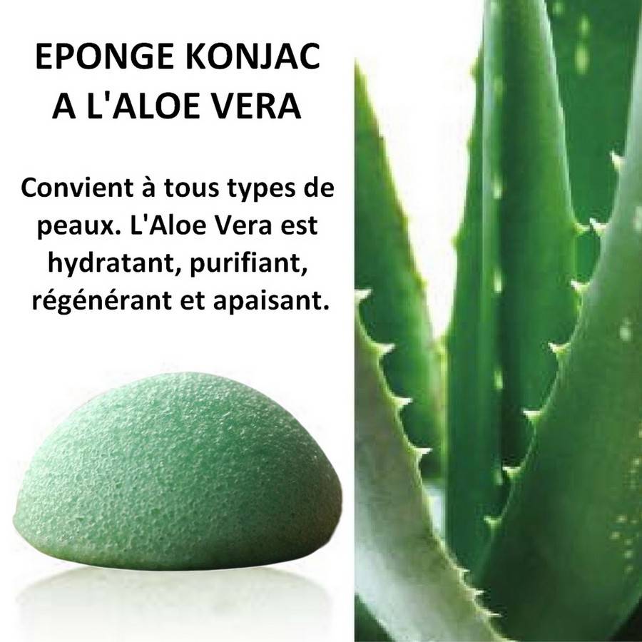 Sun&Sia - Éponge Konjac 100% Naturelle à l'Aloe Vera- Nettoie en Profondeur et en Douceur- Soin Visage Naturel- Tous Types de Peau