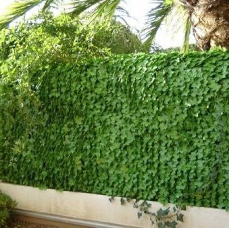 Haie artificielle feuillage Lierre, Long 9 m, Hauteur 1 m - Imagen 1