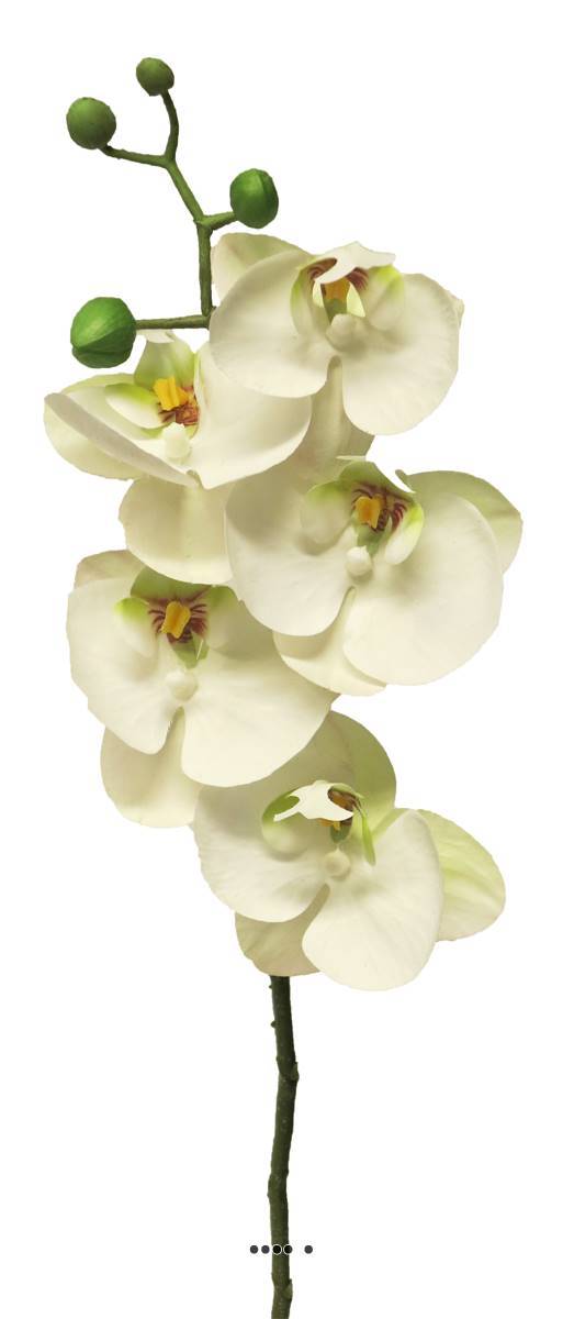 Artificielles - Tige orchidée phalaenopsis faux 5fleurons touché réel H58cm Crème-BEST - couleur: Crème - Imagen 2
