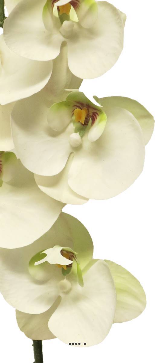 Artificielles - Tige orchidée phalaenopsis faux 5fleurons touché réel H58cm Crème-BEST - couleur: Crème - Imagen 3