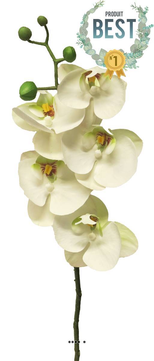 Artificielles - Tige orchidée phalaenopsis faux 5fleurons touché réel H58cm Crème-BEST - couleur: Crème - Imagen 1