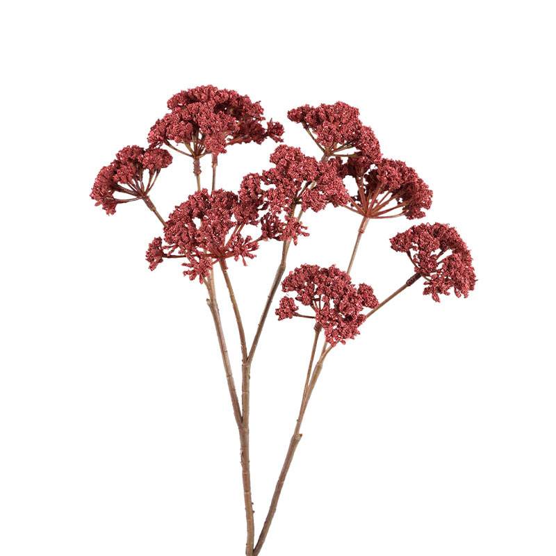 Tige Artificielle Fleur de Fenouil Bordeaux en Polyester 58cm - Image 1