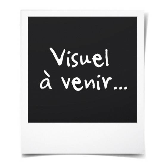 Sans Marque - PLASTIKEN Coffre cadenassable avec roulettes - 190 L - Fonctionnel et esthétique - Beige et Bleu - Image 2