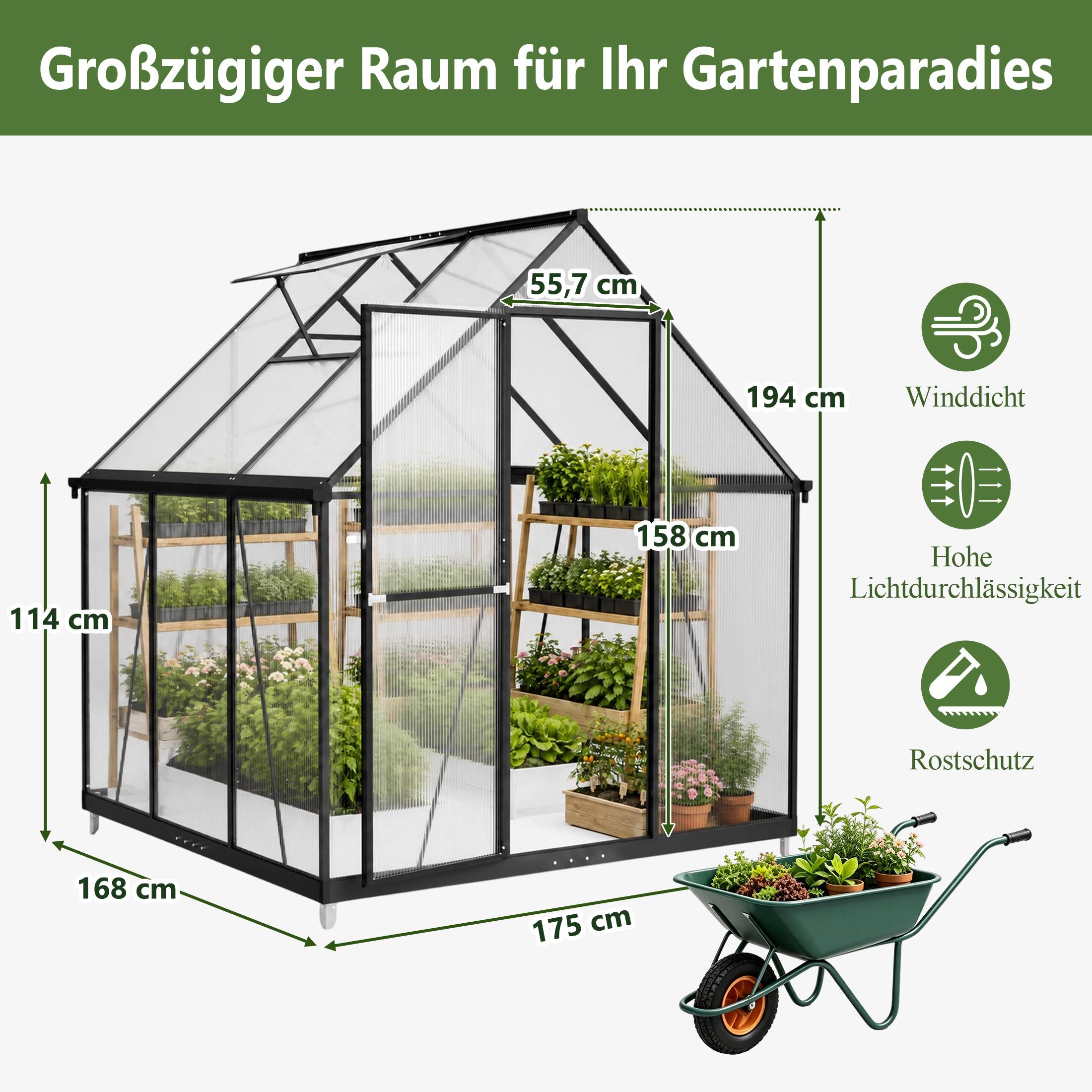 ComfortXL - Serre de jardin polycarbonate aluminium 175 x 168 x 194 cm noire pour potager avec fenêtre réglable et gouttières - Image 2