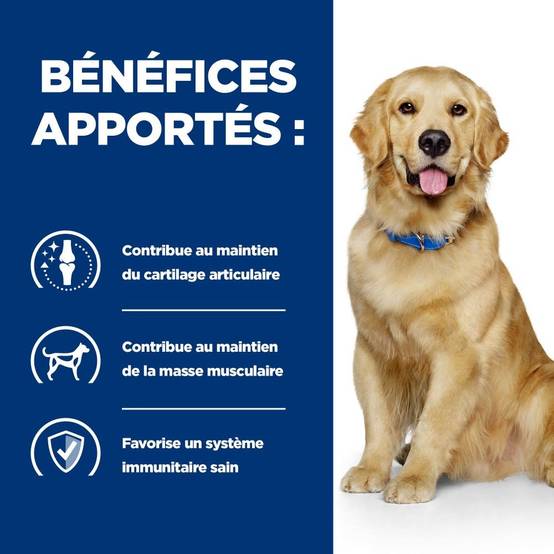 CROQUETTES CHIEN ADULT PRESCRIPTION DIETS J/D MOBILITY - HILL'S 4 kg - Image 4