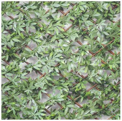 James Grass - France Green - Treillis feuilles de vigne vierge , Long 30 m, Hauteur 1 m - Imagen 2