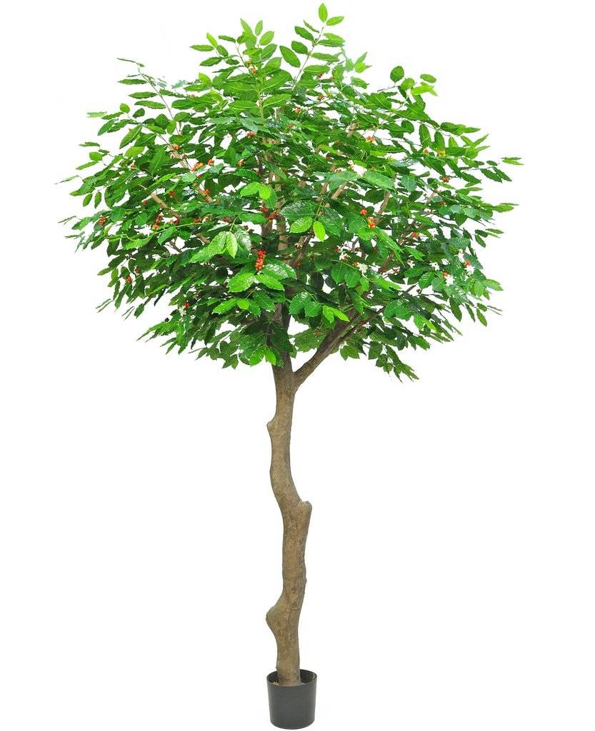 La Green Touch - Caféier fruitier - Arbre artificiel- La Green Touch - Imagen 2