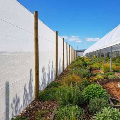 Plastidis - Filet Brise-vent - ombrage Blanc- 106gr/m² - Long 31 m, Larg 6 m - Imagen 4