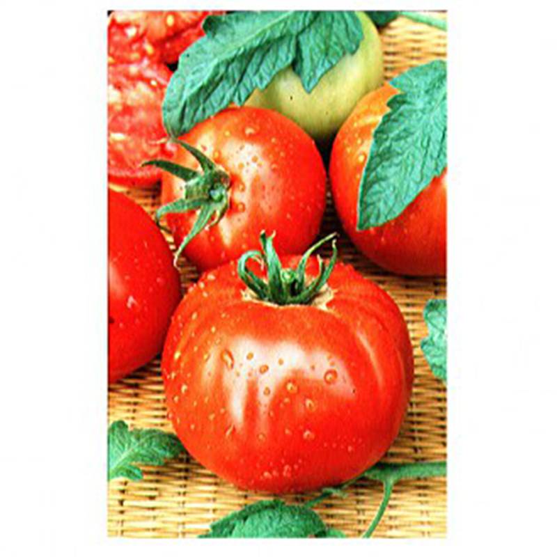 Tomate Merveille des Marchés le sachet de 300 graines environ (1g)