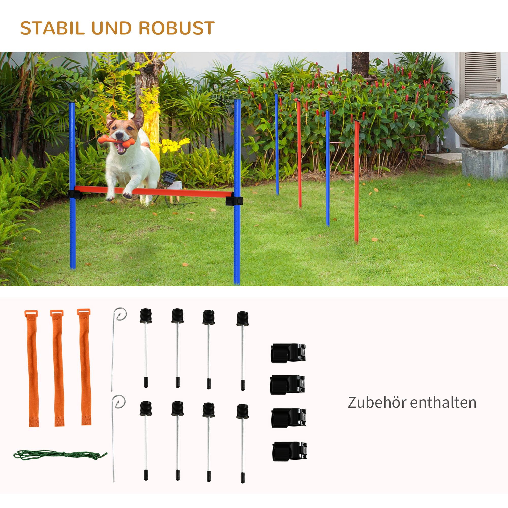 Kit d'agilité pour chien plastique bleu et rouge 3.2 x 3.2 x 86 cm - PANGIVO - Image 7