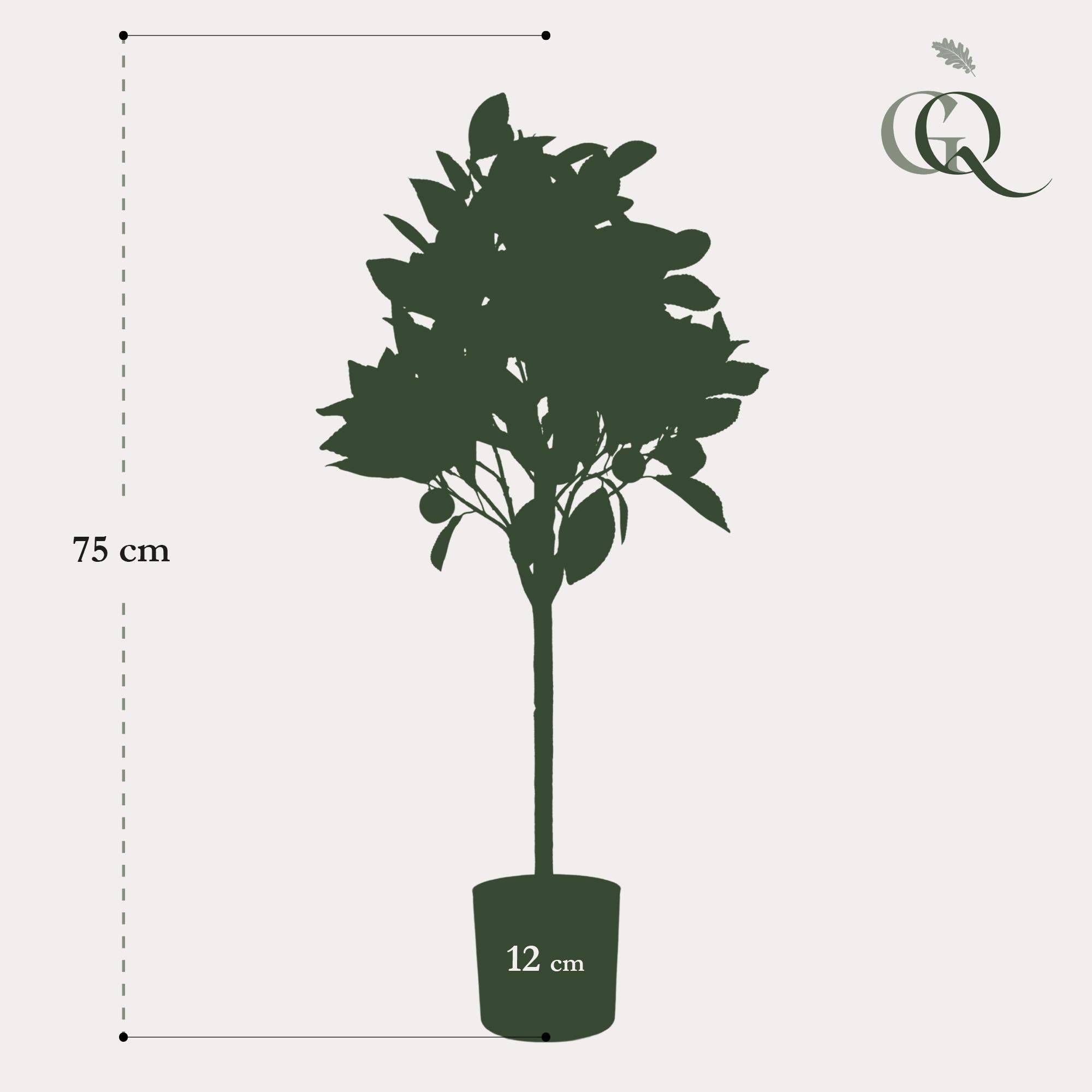 La Green Touch - Oranger plante artificielle - h75cm, Ø12cm- La Green Touch - Imagen 3