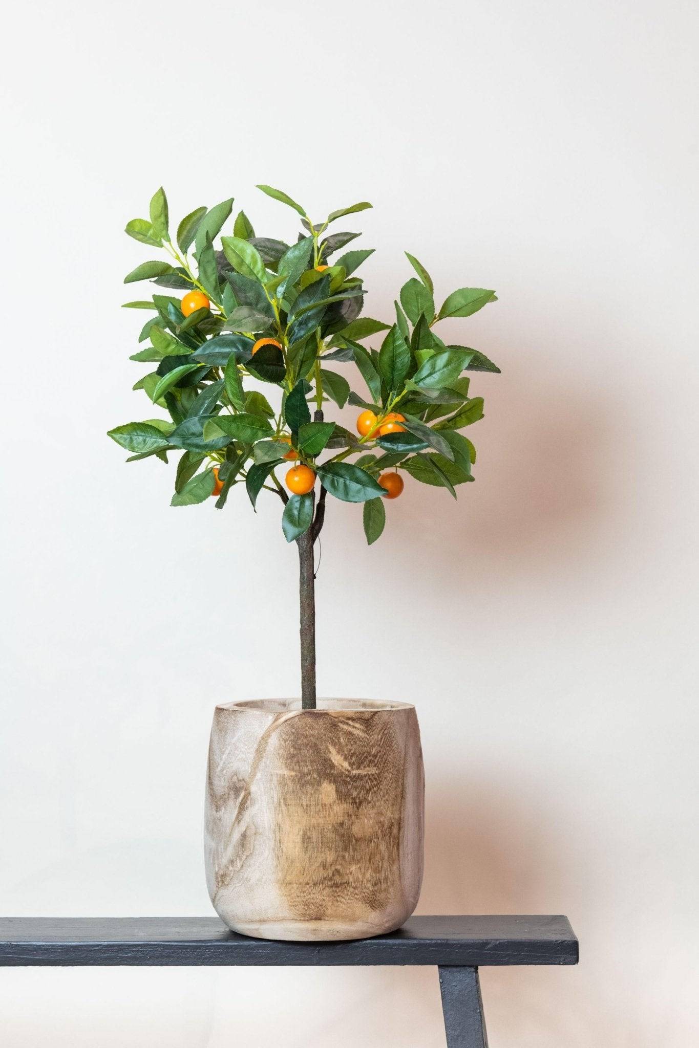 La Green Touch - Oranger plante artificielle - h75cm, Ø12cm- La Green Touch - Imagen 4