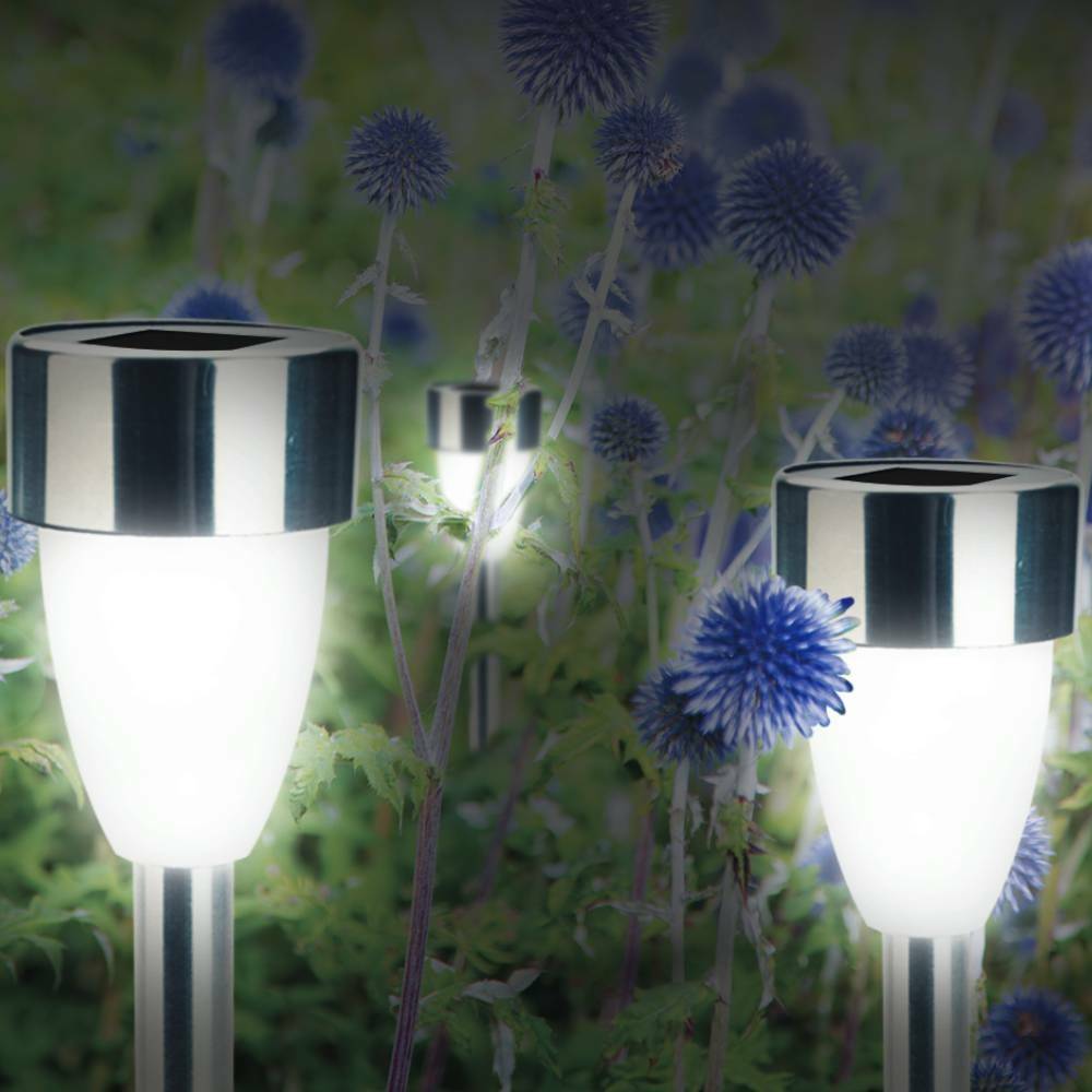 Lot de 8 lampes solaires LED tulipe H36 cm – Éclairage blanc décoratif pour balisage de jardin - TERRE JARDIN - Image 7