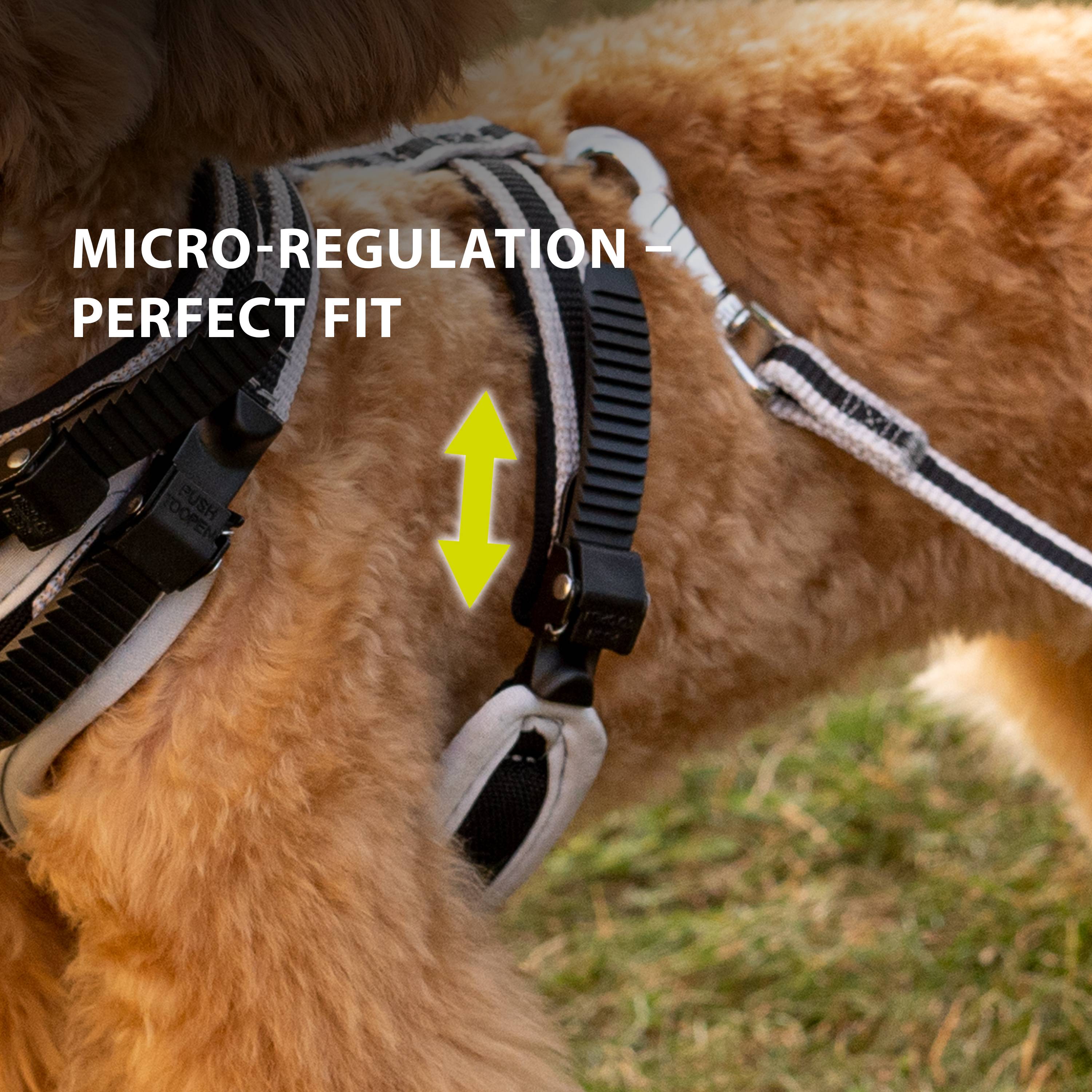Ferplast - Ferplast Harnais pour Chien Grande Taille ERGOCOMFORT EXTRA LARGE, Harnais pour Chien Ajustable, Confortable, Rembourré, Fermeture Double - Imagen 7