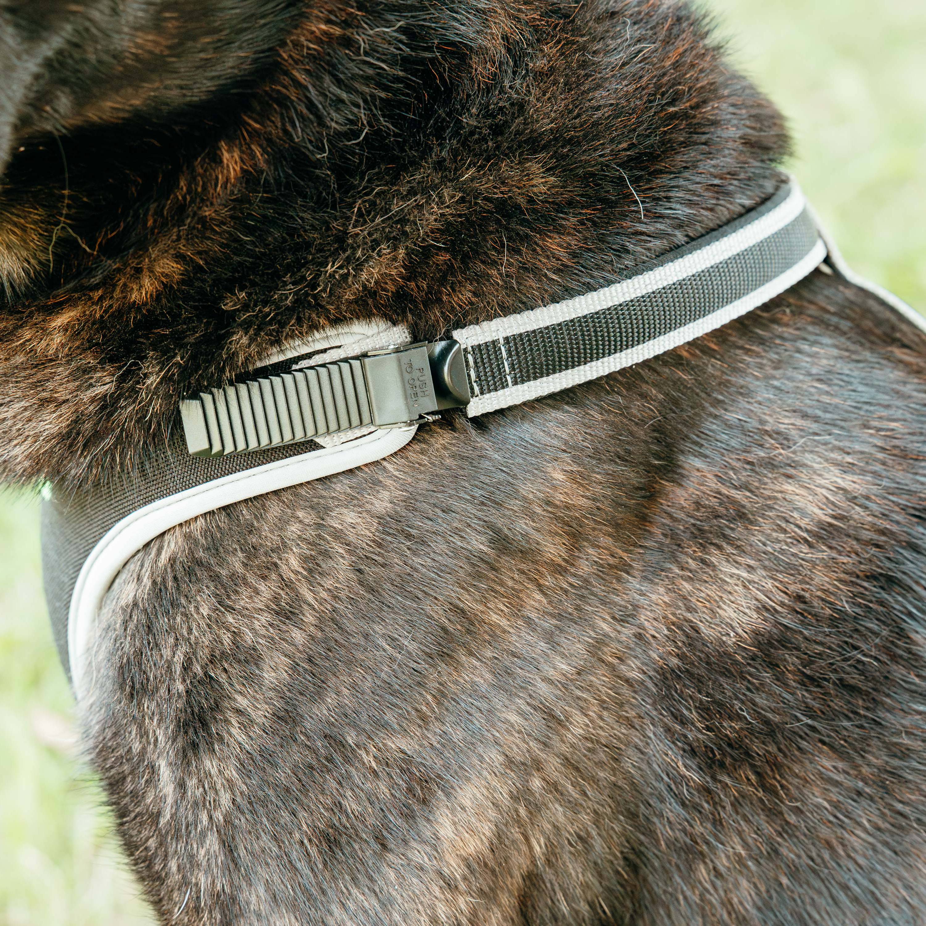 Ferplast - Ferplast Harnais pour Chien Grande Taille ERGOCOMFORT EXTRA LARGE, Harnais pour Chien Ajustable, Confortable, Rembourré, Fermeture Double - Imagen 5