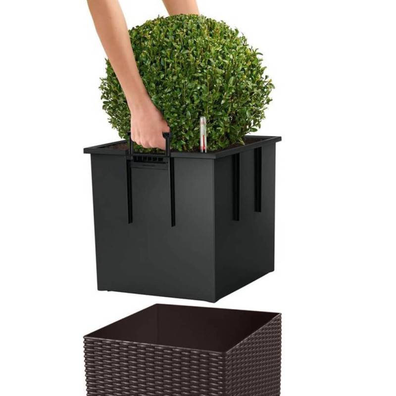 Lechuza - Cube Cottage 40 - kit complet, moka 40 cm Lechuza - Imagen 4