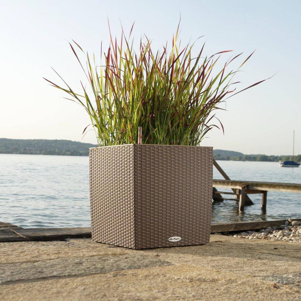 Lechuza - Cube Cottage 40 - kit complet, moka 40 cm Lechuza - Imagen 3