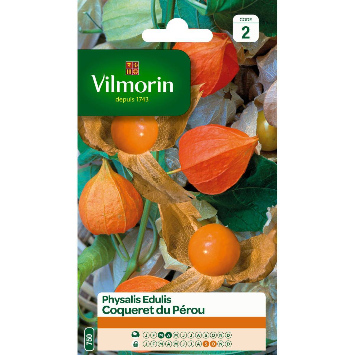 Vilmorin - Sachet graines Physalis Edulis