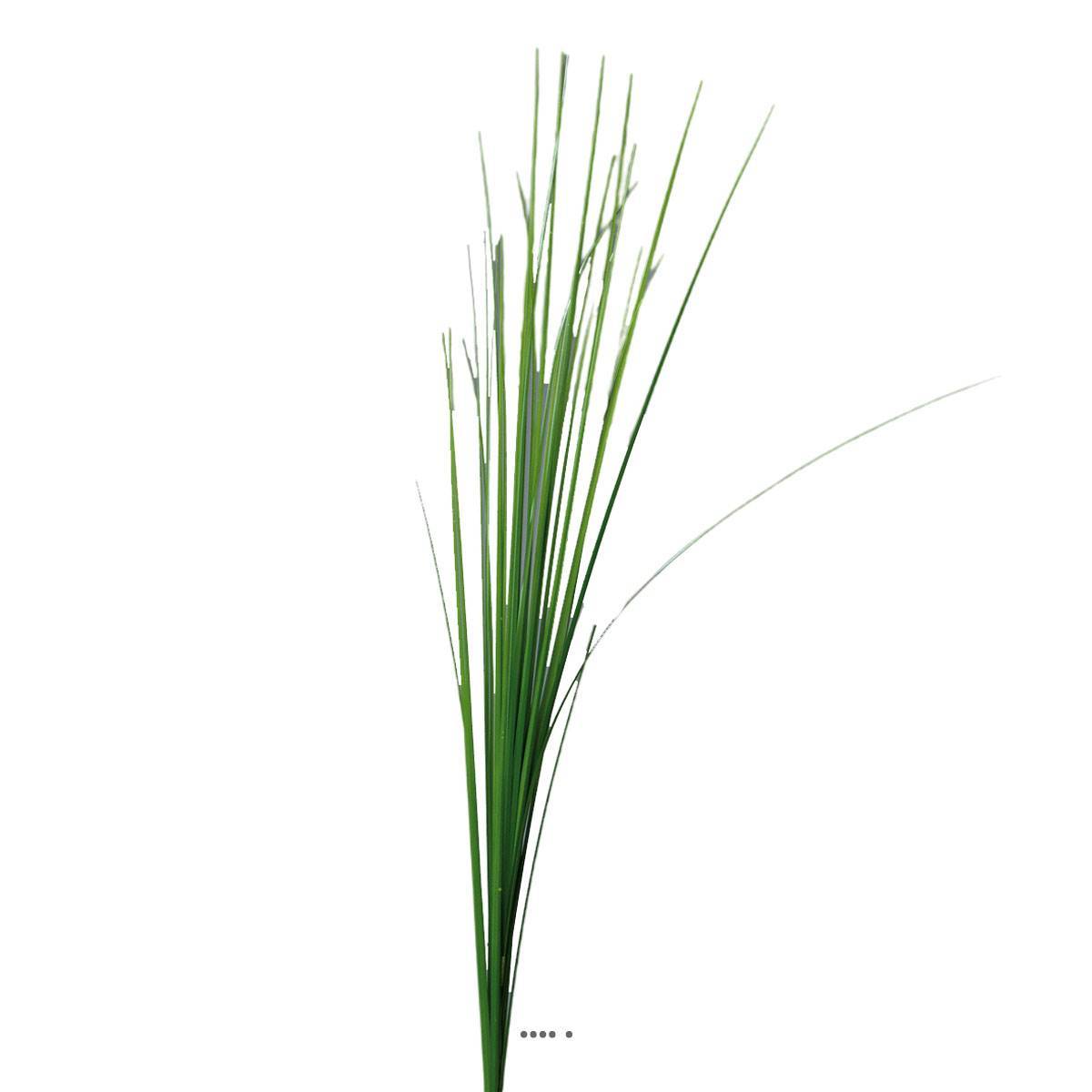 Artificielles - Isolepsis artificiel H 70 cm en tige vert ouvert superbe - Imagen 2