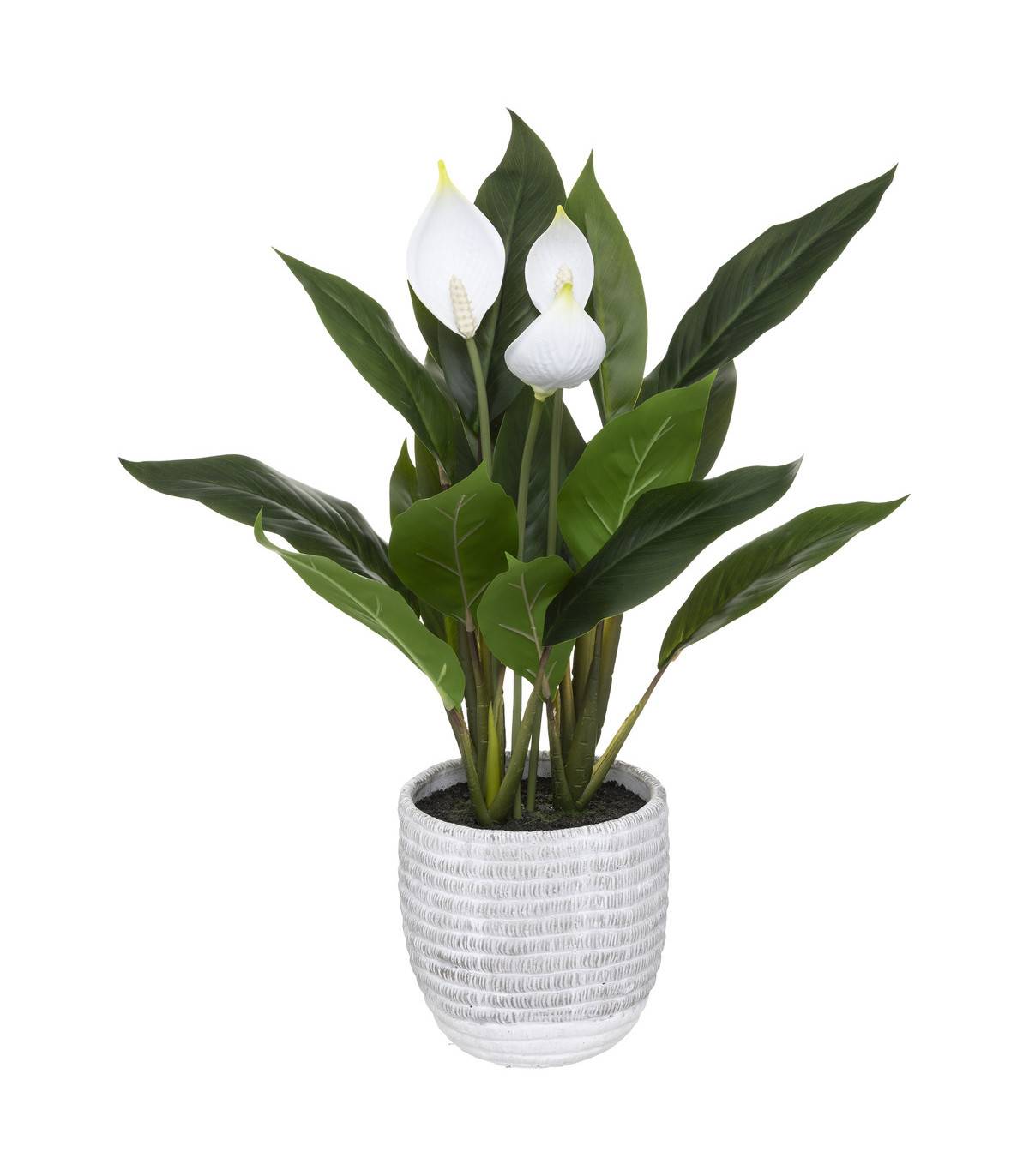 Plante artificielle Lys de la paix en pot H 54 cm - Imagen 1