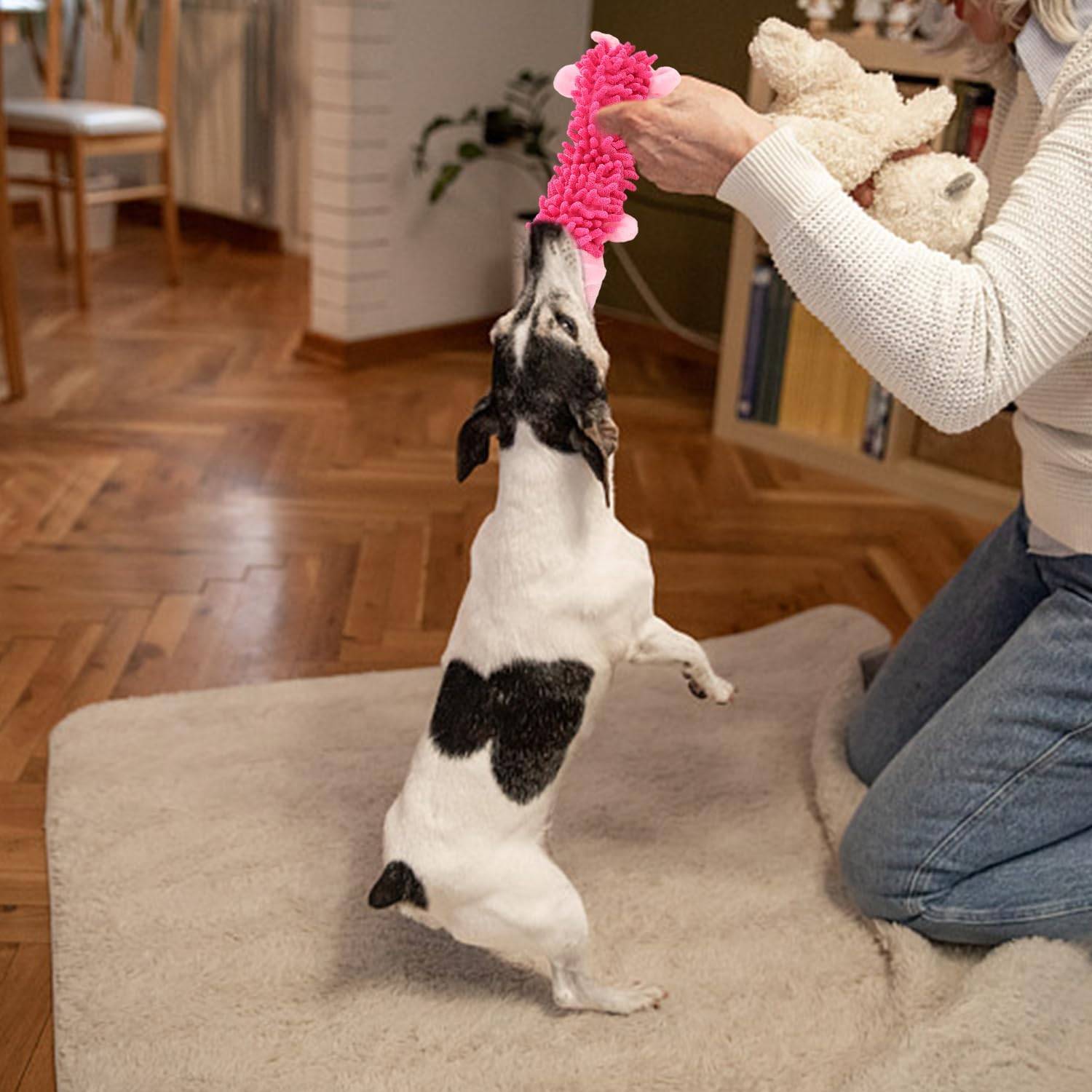 DtopbuyAge - Jouet en Peluche Cochon pour Chien - Antistress et Résistant DtopbuyAge - Image 3