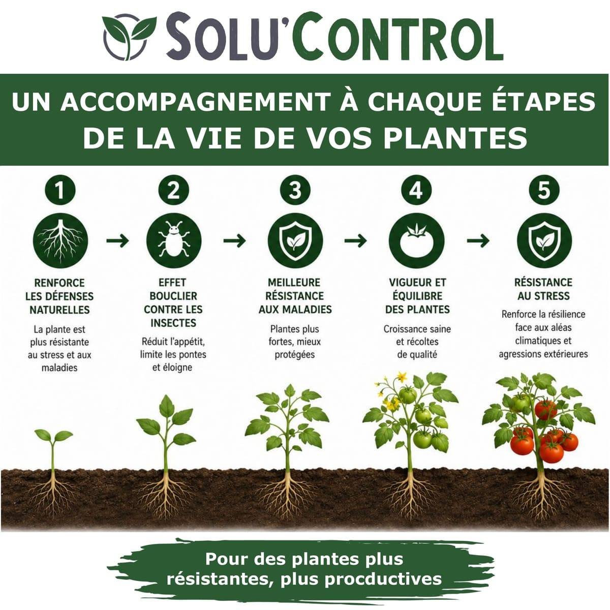 Tout pour les nuisibles - Biostimulant Concentré à l'Extrait d'Ail, d'Ortie et de Plantes Solu'Control Vége'Défense – 500 ml – Renforce les Défenses Naturelles des Plantes - Image 2