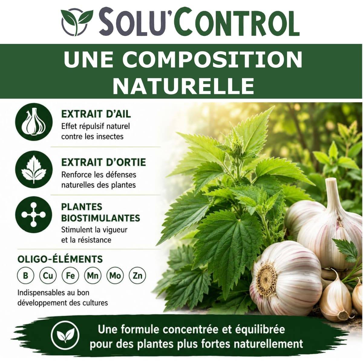 Tout pour les nuisibles - Biostimulant Concentré à l'Extrait d'Ail, d'Ortie et de Plantes Solu'Control Vége'Défense – 500 ml – Renforce les Défenses Naturelles des Plantes - Image 4