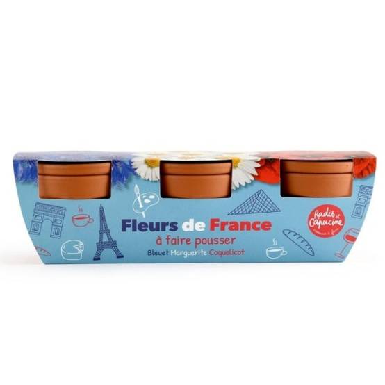 Radis et Capucine - Radis et Capucine - Trio fleurs bleu blanc rouge - Image 3